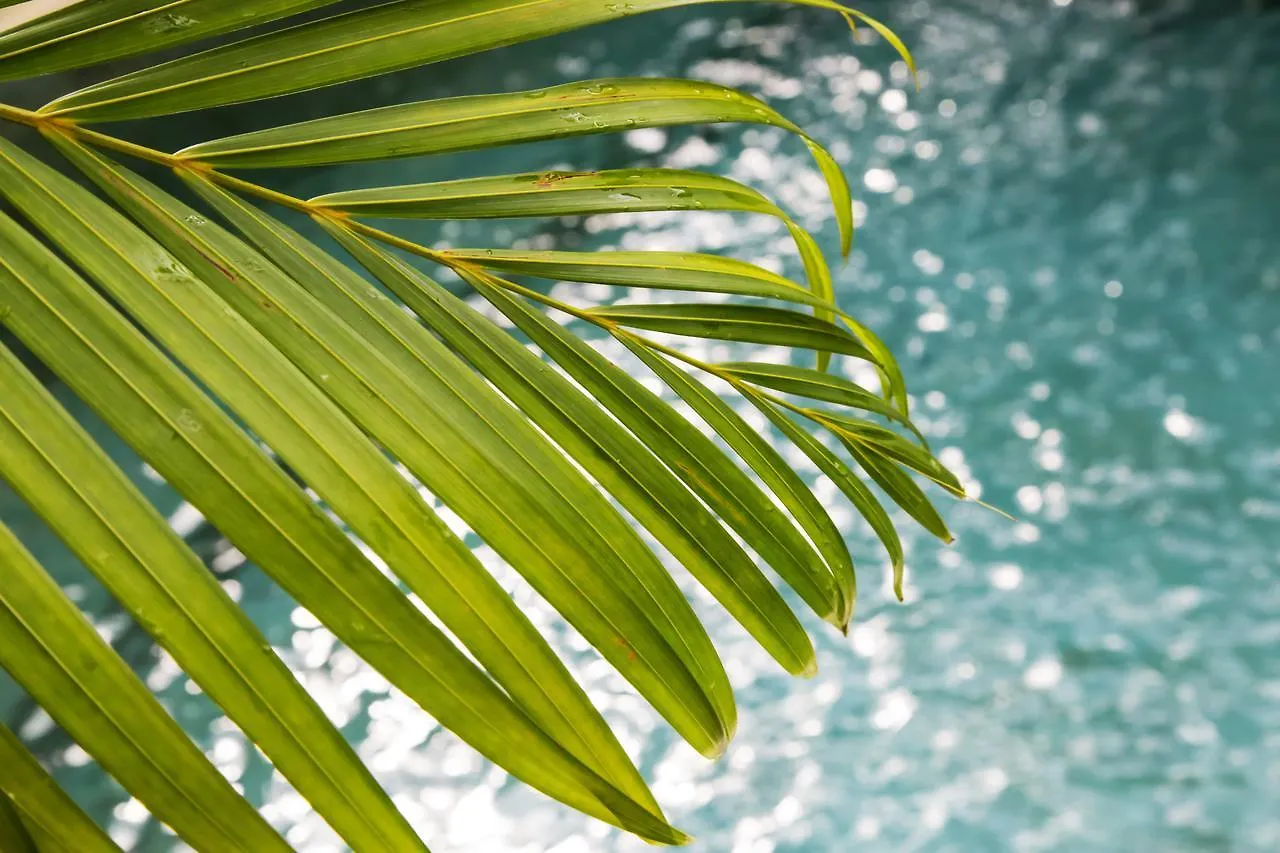 Villa Air Bali Boutique Resort And Spa Seminyak
